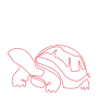 tartaruga R